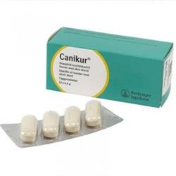 Canikur Pro. Kosttilskud mod dårlig mave hos hund. 12 tabletter